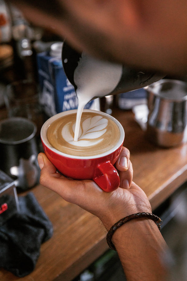 Milchersatz für Kaffee - den Hype wert?